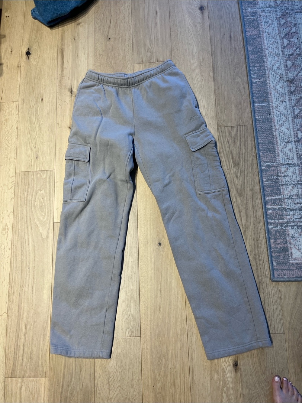 Aritzia Cargo Sweatpants - Ashen